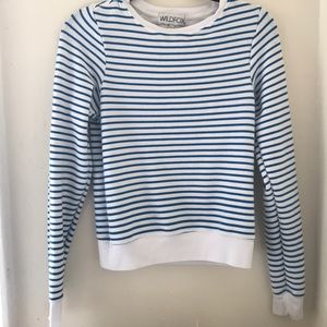 Striped Wildfox Sweatshirt